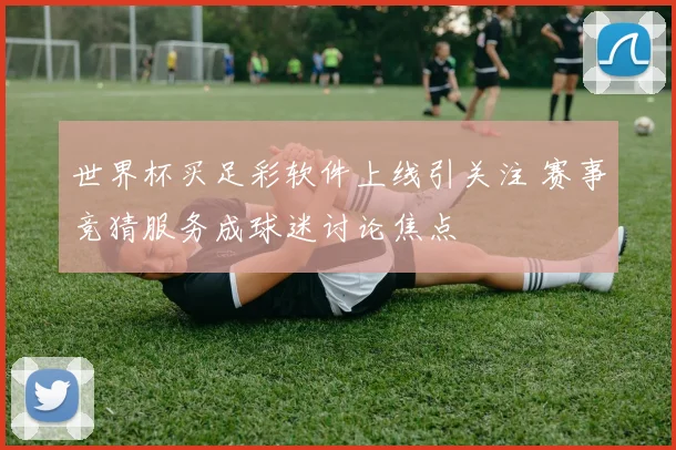 世界杯买足彩软件上线引关注 赛事竞猜服务成球迷讨论焦点