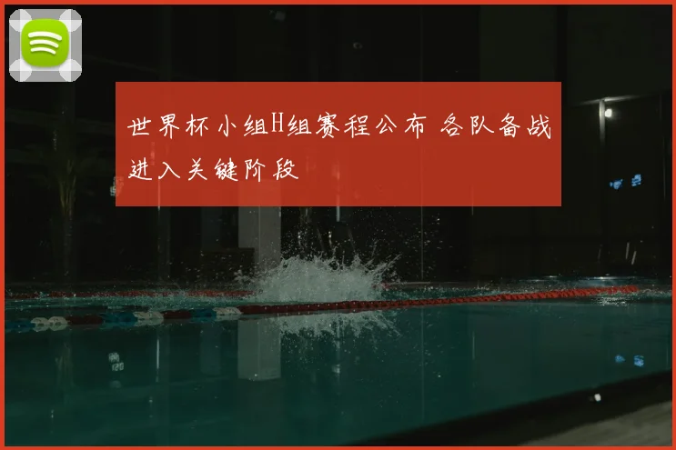 世界杯小组H组赛程公布 各队备战进入关键阶段