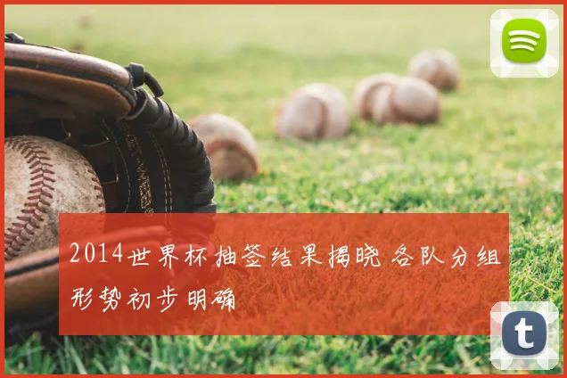 2014世界杯抽签结果揭晓 各队分组形势初步明确