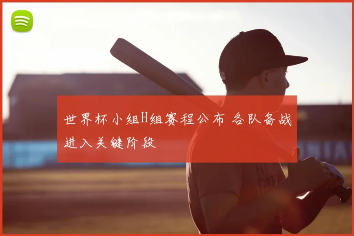 世界杯小组H组赛程公布 各队备战进入关键阶段